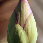 Im Nahbereich - Andreas Ludwig