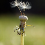 Im Nahbereich - Annette Ludwig