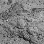 Im Nahbereich - Frank Galinsky