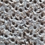 Im Nahbereich - Hans Jürgen Wendel