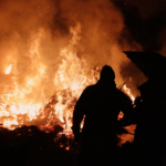 Im Nahbereich Steffen Schmidt