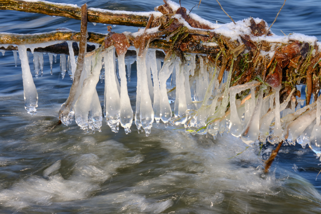 Vorfrühling - Foto B. Torchala