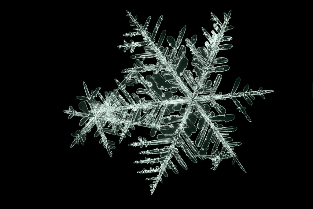 Schneesterne - Foto B. Torchala