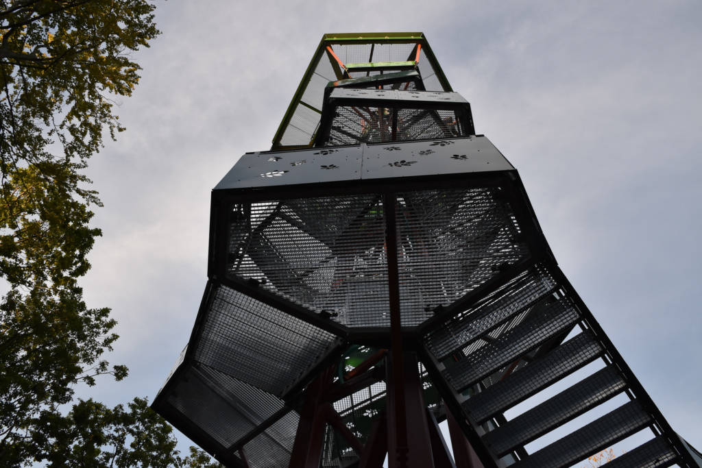 Rodigt Foto M. Krummsdorf