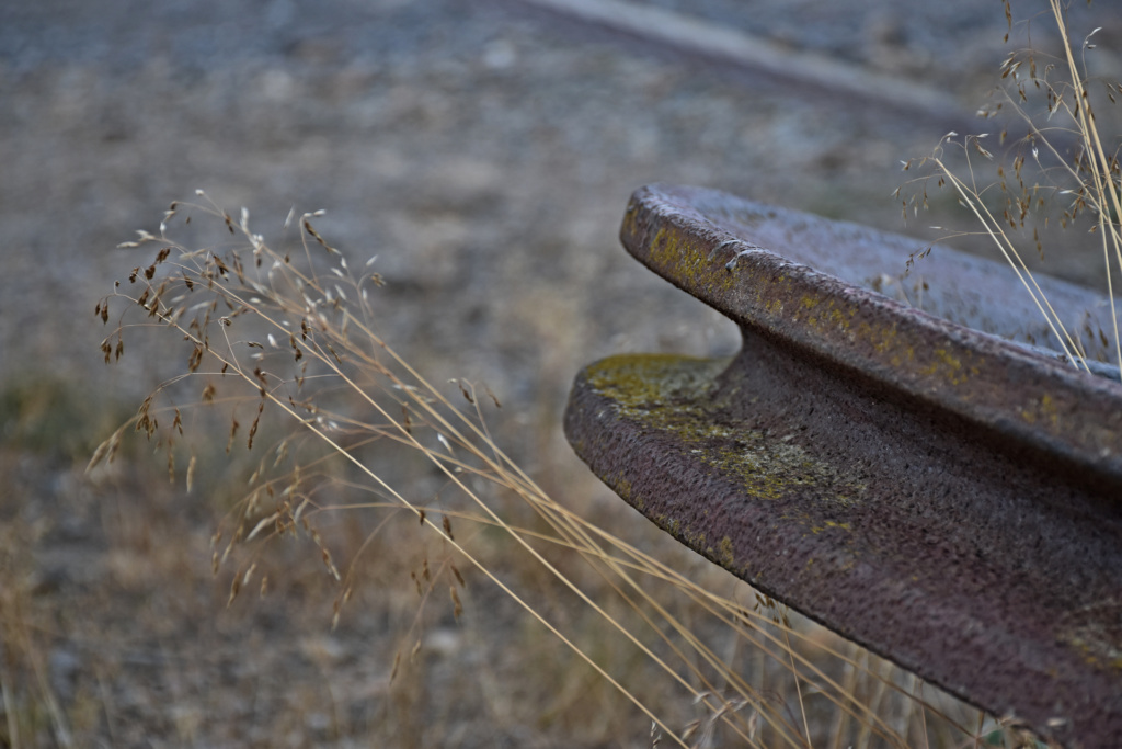 Seilscheibe Foto M. Krummsdorf