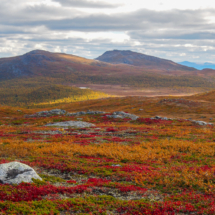 Herbst im Fjell Foto Elke Bombach Herbst im Fjell Foto Elke Bombach