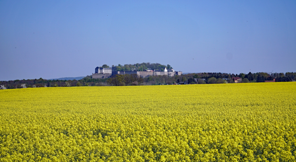 Königstein Foto Peter Hoyer