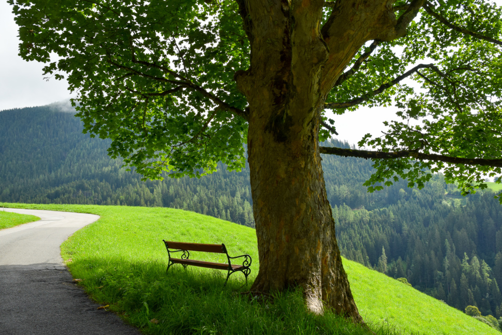 Sylvia Börner Freiberg-2721