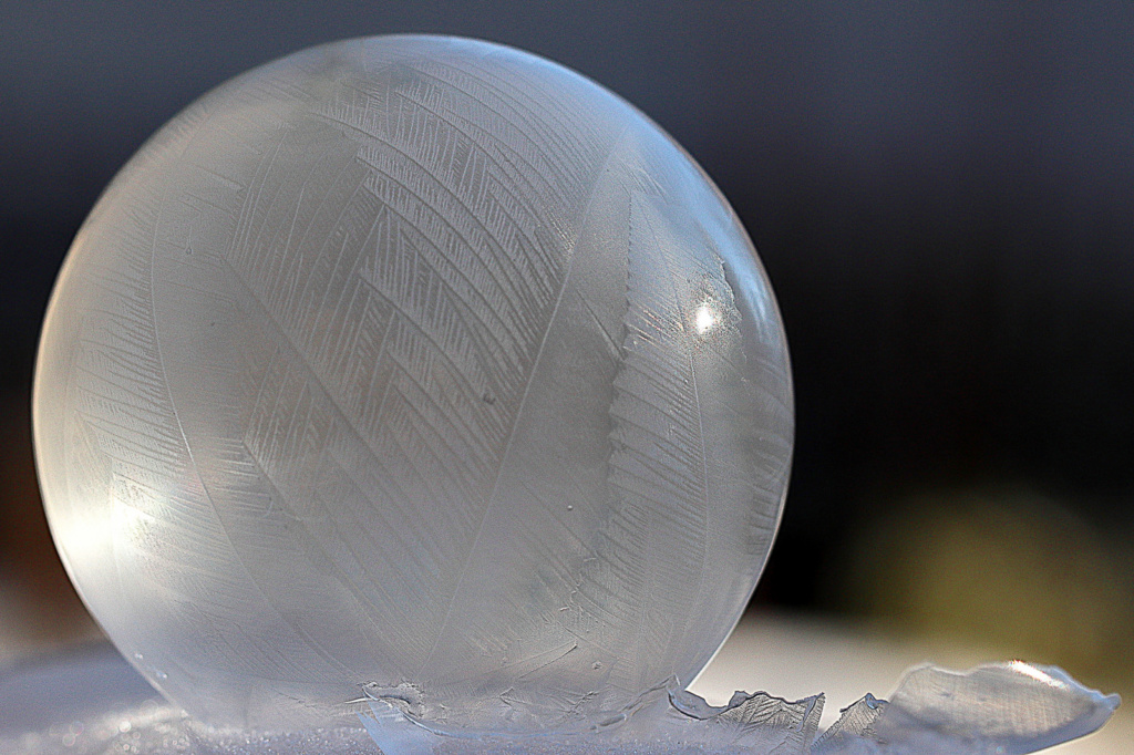 Frostiger Gruss - Foto Thomas Dittrich