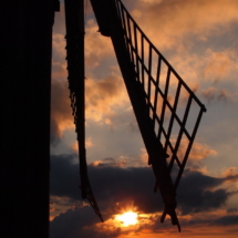 Foto Günter Schellhas Foto Günter Schellhas