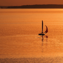 Foto Günter Schellhas Foto Günter Schellhas
