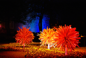 Claus Mildner_Unverwelkbare Blumen