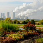 Foto Gunther Galinsky