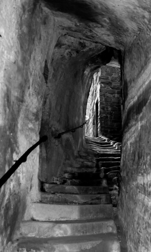 Bibliothek - Foto Claus Mildner