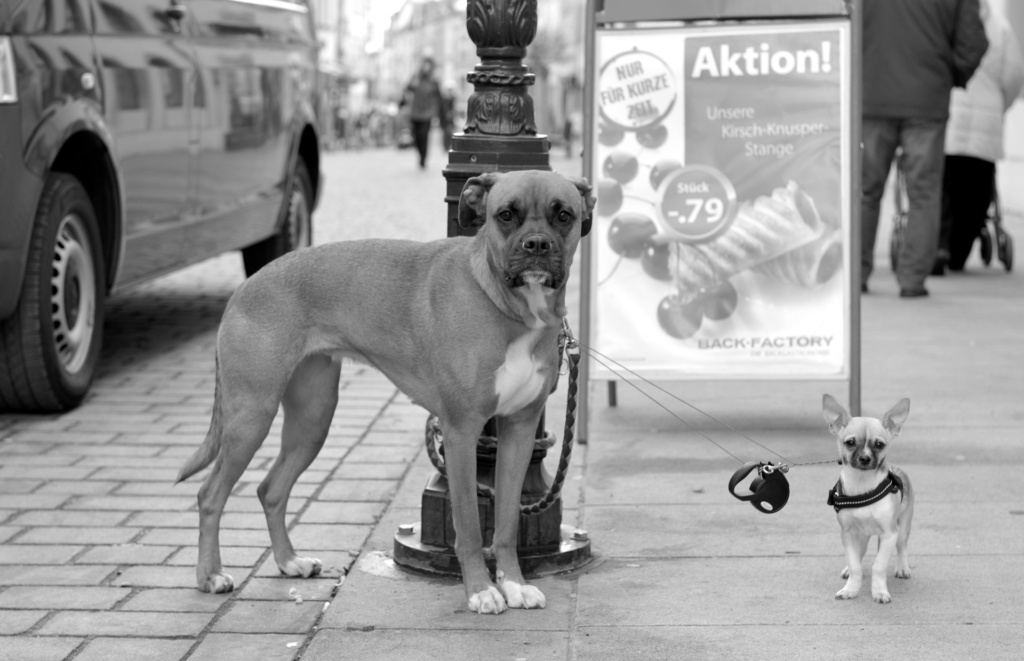 Razzia - Foto Eckhardt-Mildner