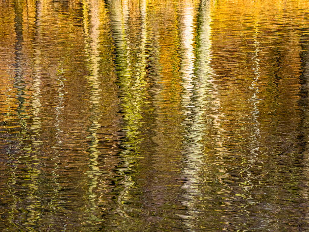 Elke Bombach -  Spiegelung
