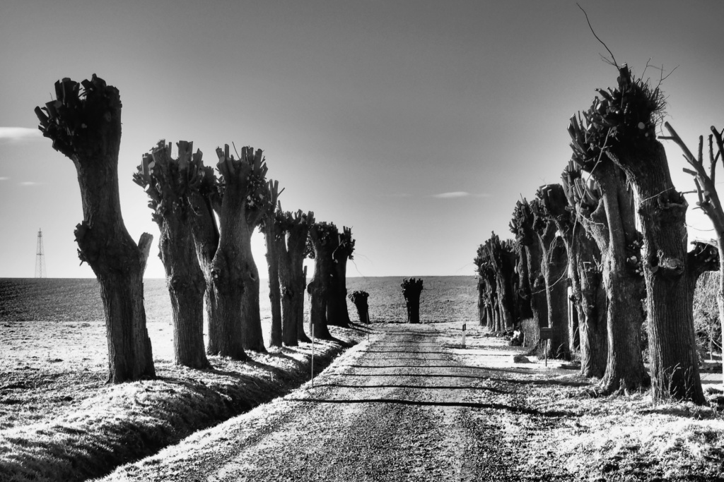 Foto Günter Schellhas