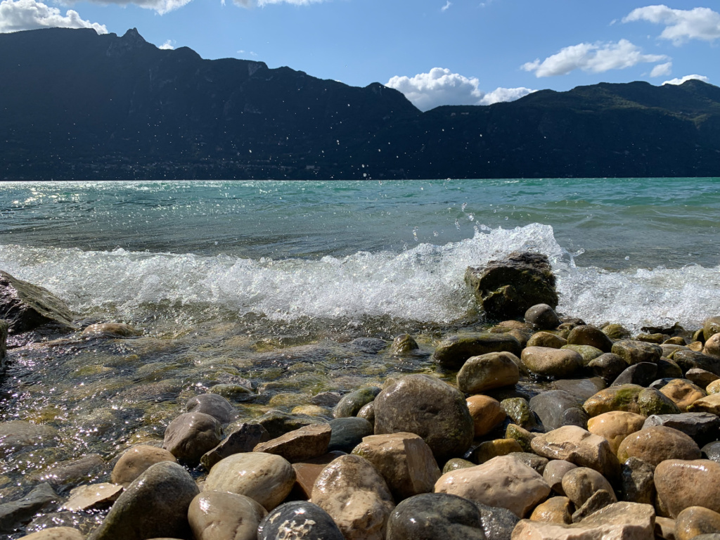 Katharina Leist - Welle