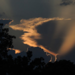 Foto Michael Krummsdorf