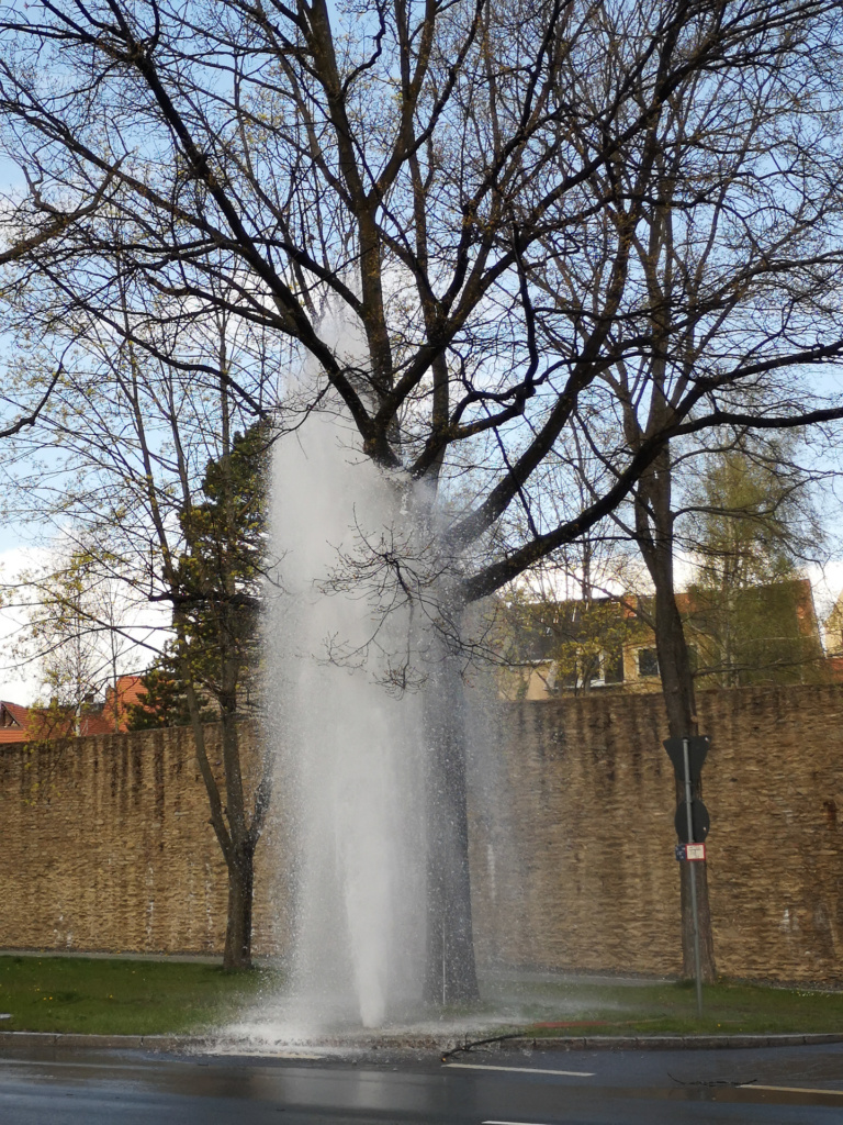 Michael Krummsdorf  - Fontaine