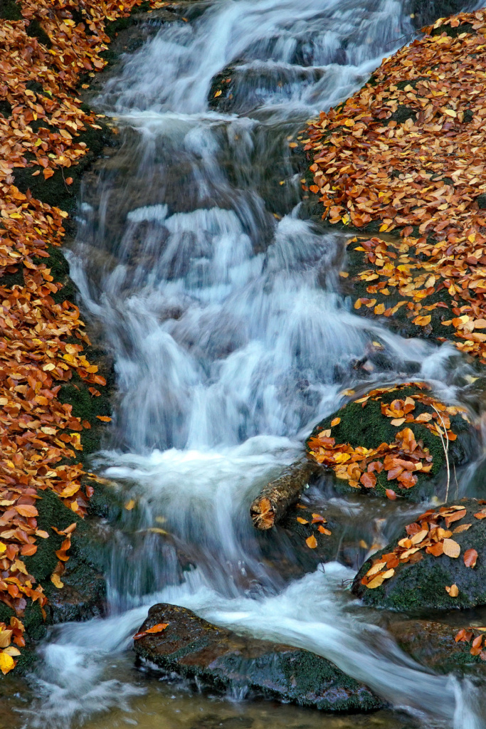 Peter Hoyer -  Wasserlauf