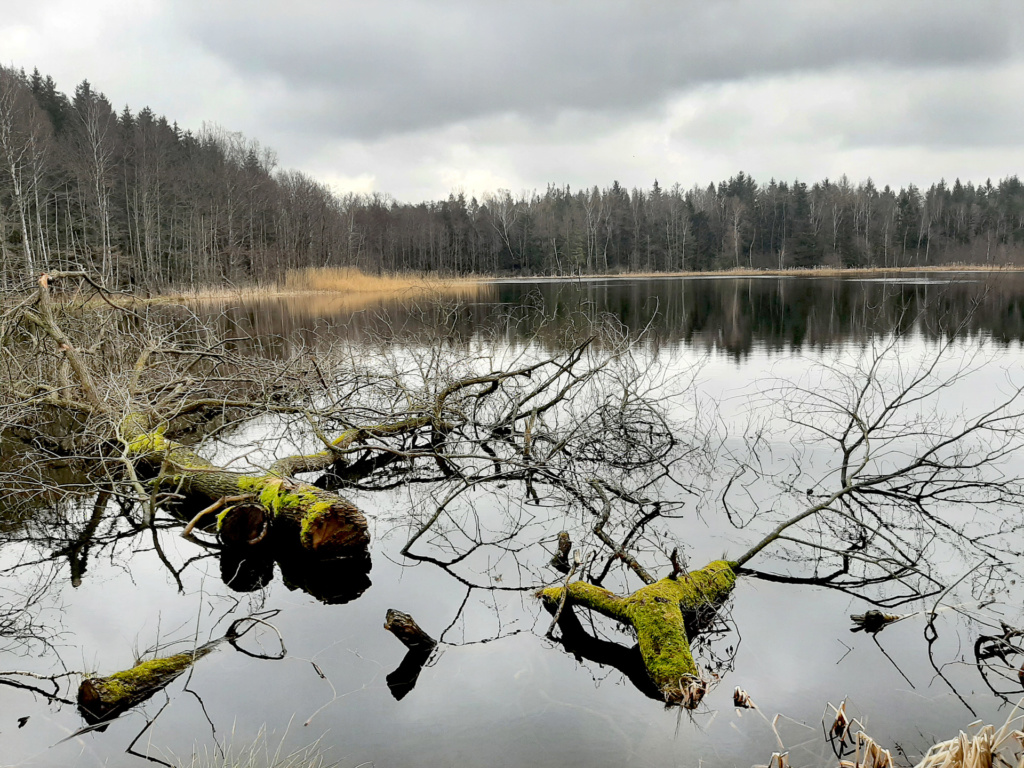 Petra Irmer -  Endstation