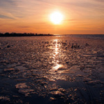 Foto Günther Schellhas