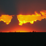 Foto Steffen Schmidt