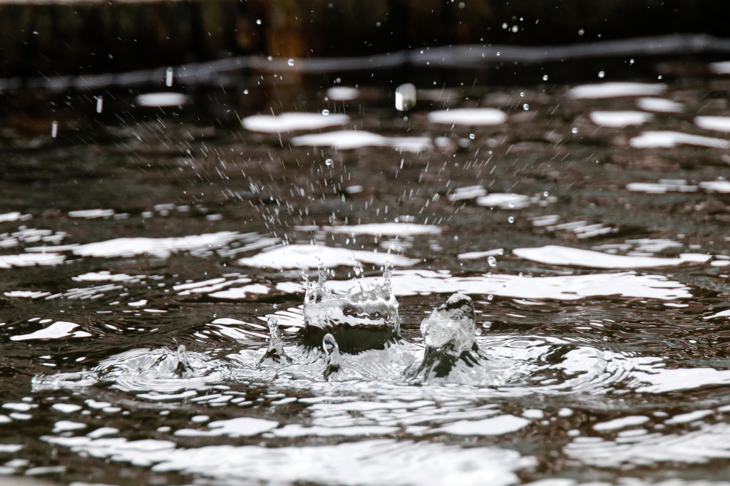 Steffen Schmidt - Wasser