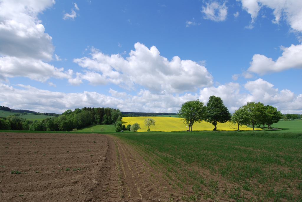 Cämmerswalde im Mai - Foto Falk Lößner