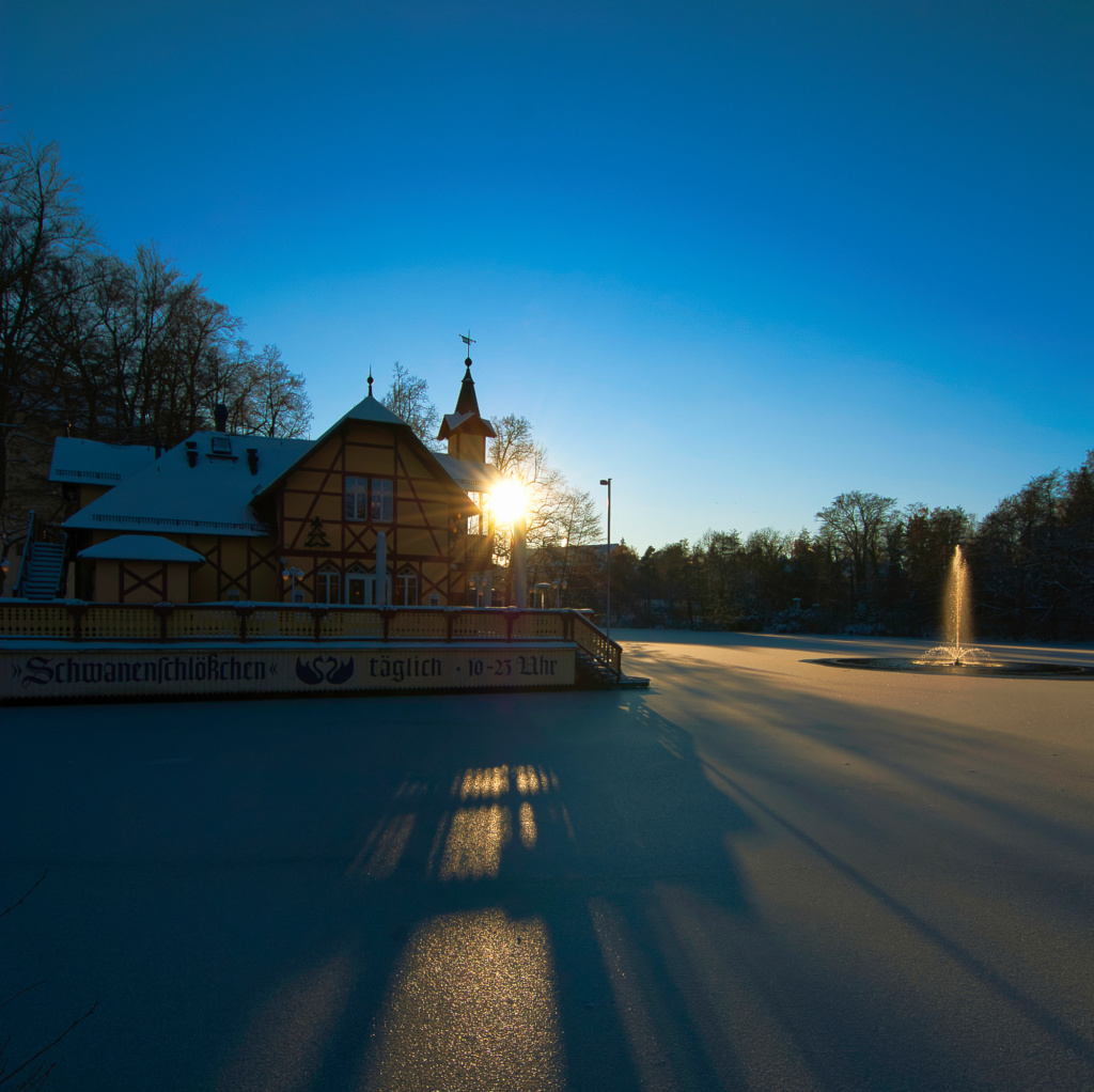 Gegenlicht - Foto Falk Lößner