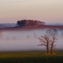 Abendnebel
