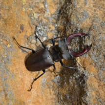 Foto: Katharina Leist Katharina Leist