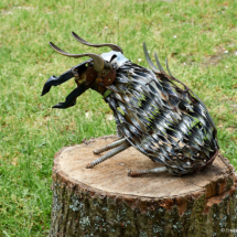 Foto: Klaus Bombach Klaus Bombach