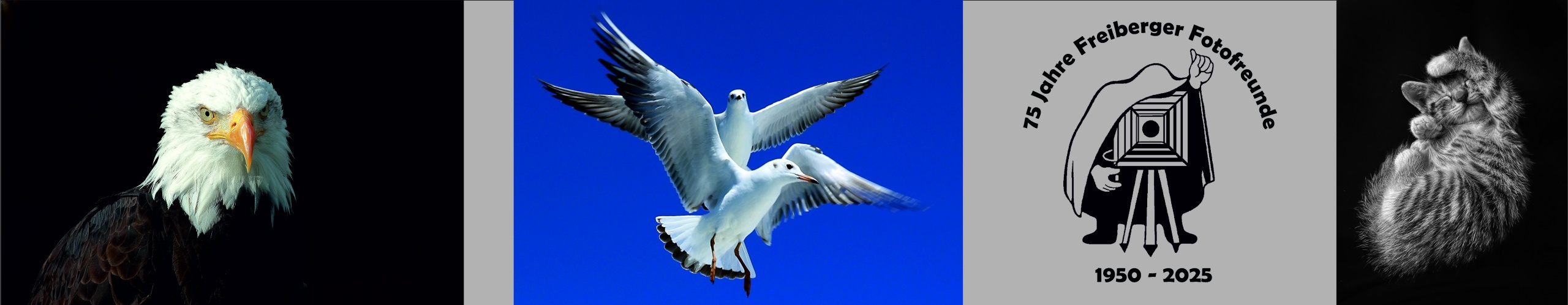  Freiberger Fotofreunde