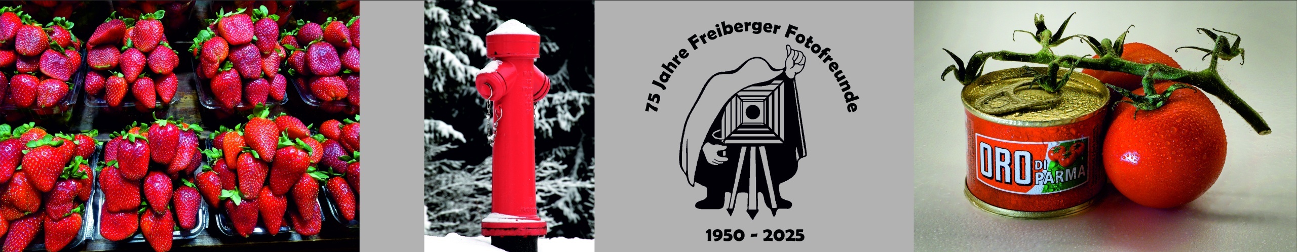  Freiberger Fotofreunde